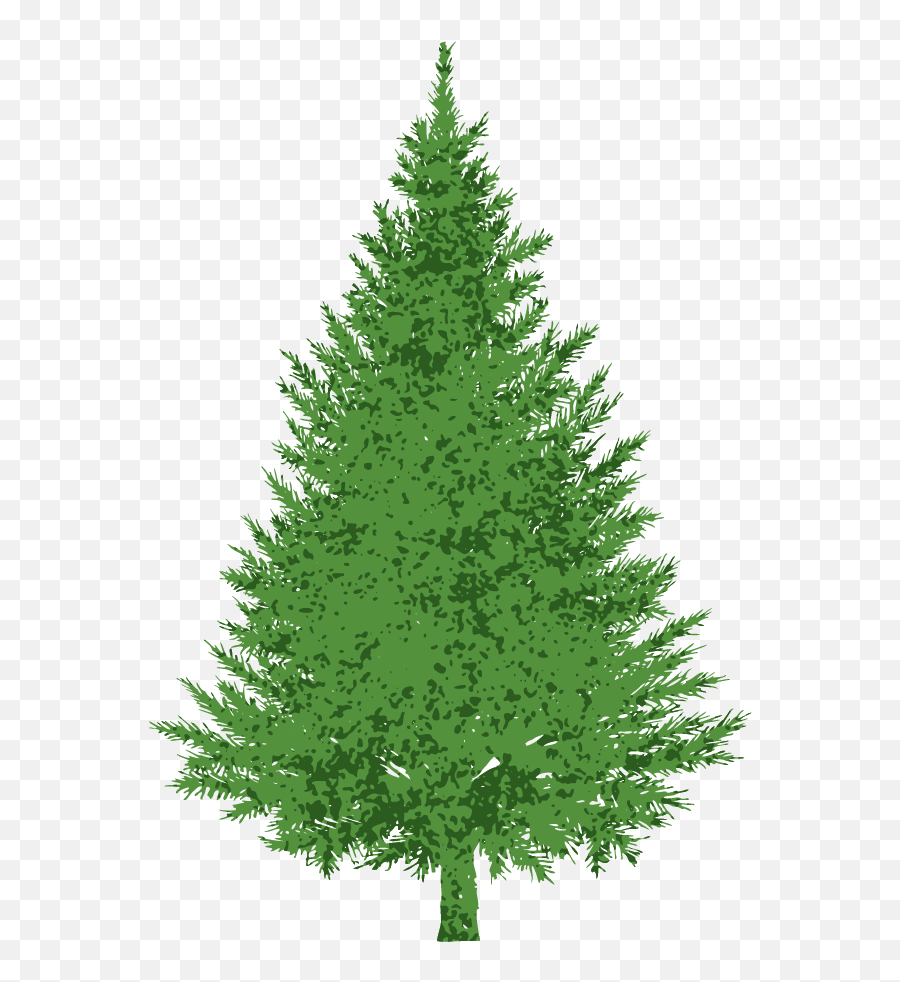 Download 28 Collection Of Evergreen Tree Clipart Images - Plain Christmas Tree Png Emoji,Evergreen Tree Png