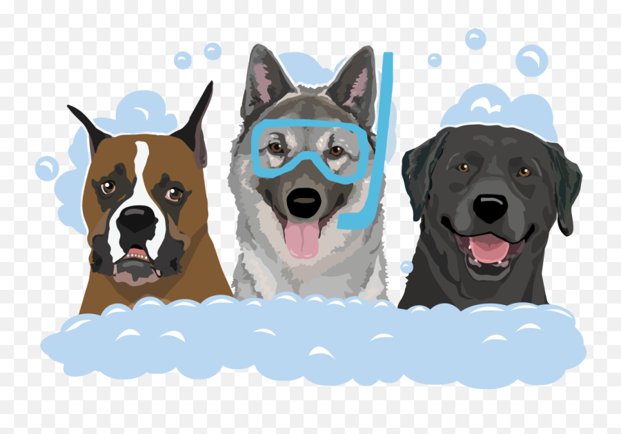 Bubble - Bath Ashleyu0027s Wagginu0027 Wheels Mobile Pet Grooming Emoji,Boxer Dogs Clipart