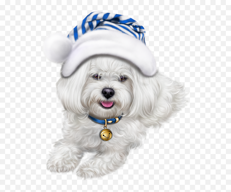 Cute Puppy Png - Transparent Lhasa Apso Clipart Guten Morgen Dienstag Weinhnachtlich Emoji,Puppy Png