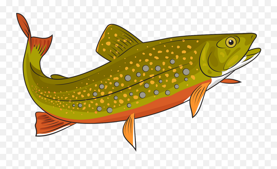 Free Trout Cliparts Download Free Clip - Transparent Brook Trout Clipart Emoji,Trout Clipart