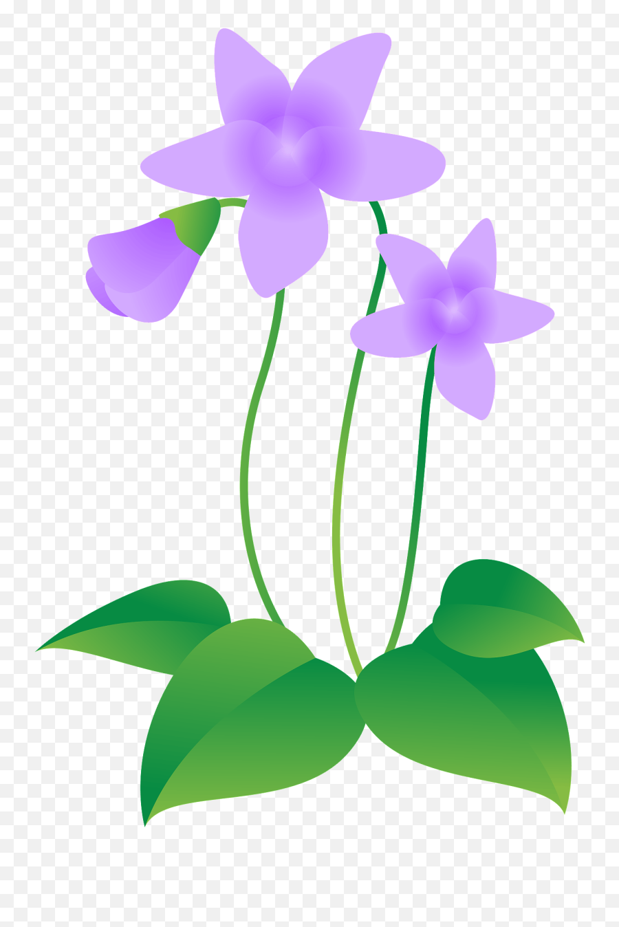 Violet Flower Clipart - Violets Clipart Emoji,Violet Clipart