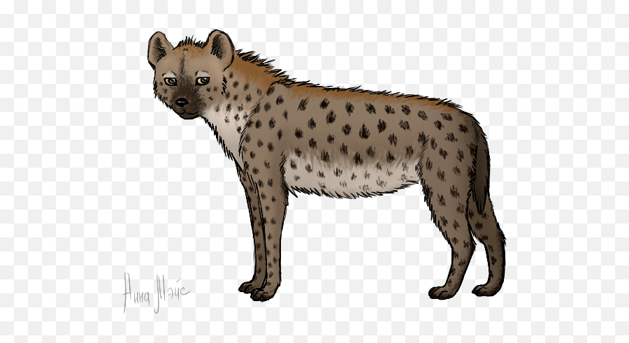 Hyena Png Alpha Channel Clipart Images - Transparent Background Heyna Clipart Emoji,Hyena Png
