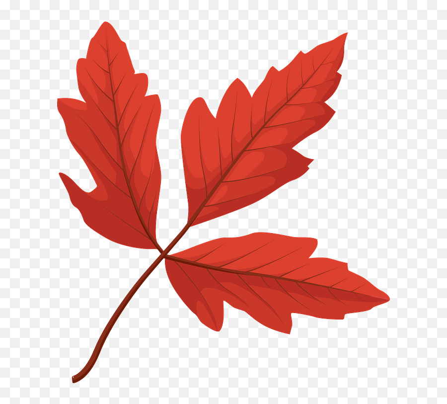 Paperbark Maple Red Leaf Clipart Emoji,Free Leaf Clipart