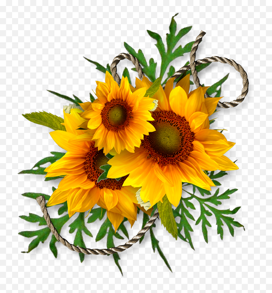 Cheyokota Digital Scraps Transfer Decoupage Kwiaty - Clipart Corner Sunflower Border Emoji,He Is Risen Clipart
