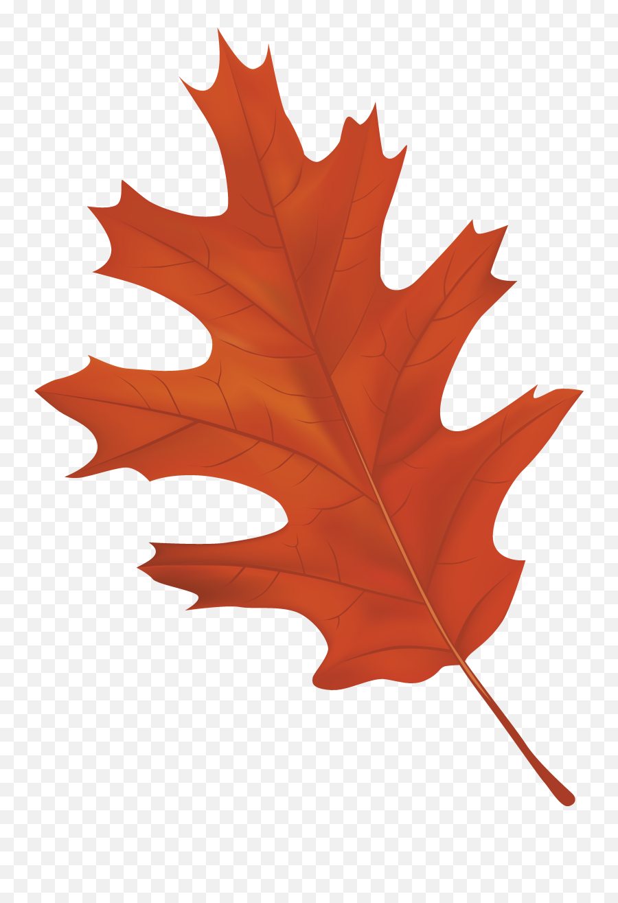 Clipart Leaves Autumn Leaves Clipart - Fall Leaf On Transparent Background Emoji,Fall Leaves Clipart