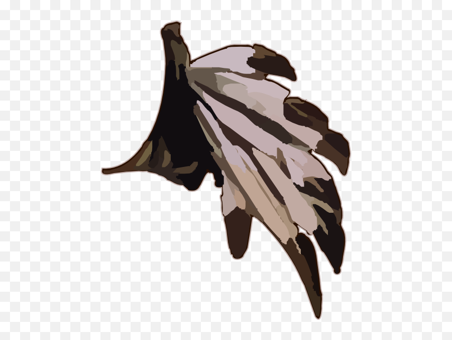 Native Indian Feathers Clip Art At - Transparent Indian Feather Png Emoji,Native American Clipart