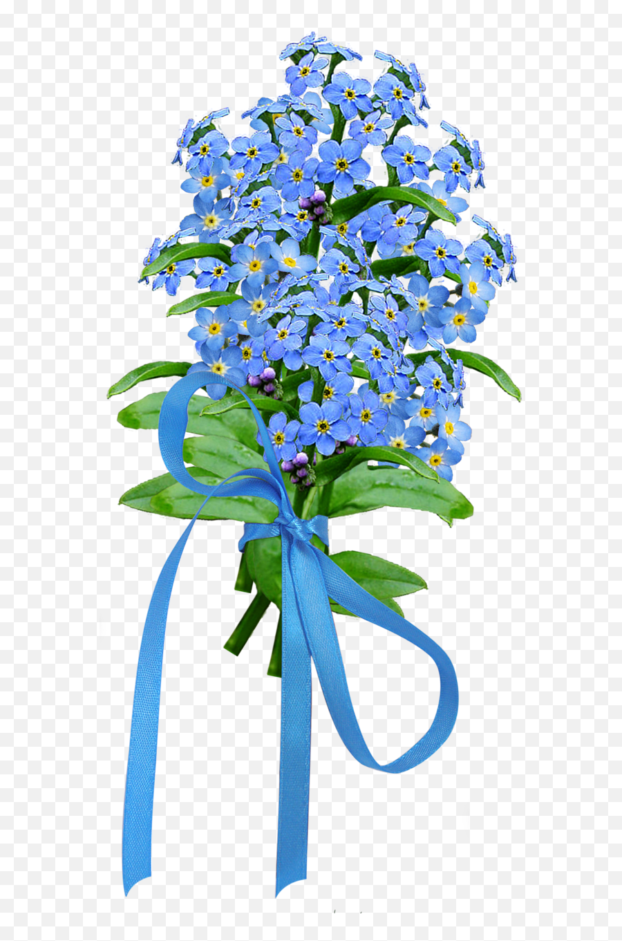 Forget Me Not Png Image - Forget Me Nots Blue Flowers Transparent Background Emoji,Forget Me Not Flowers Clipart