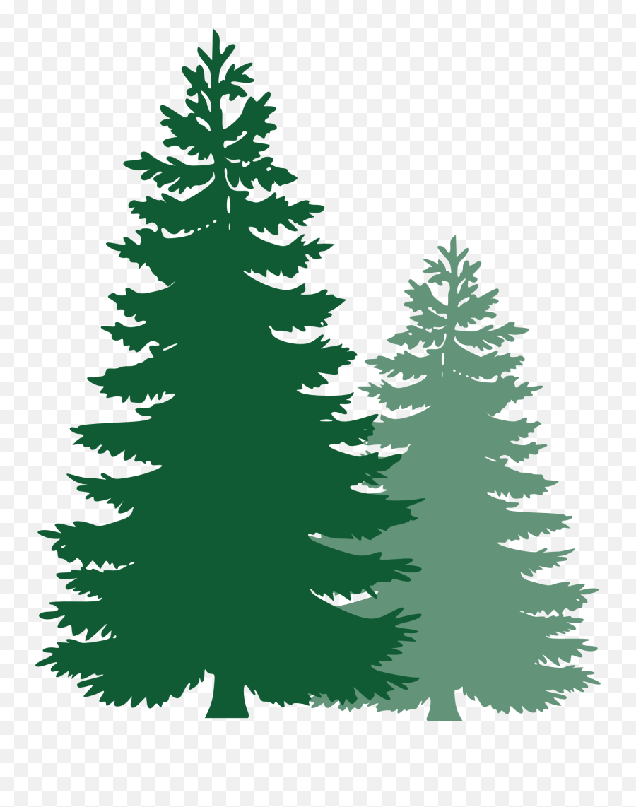 Pine Tree Clipart Png Clipart Panda - Free Clipart Images Pine Tree Clipart Emoji,Tree Clipart