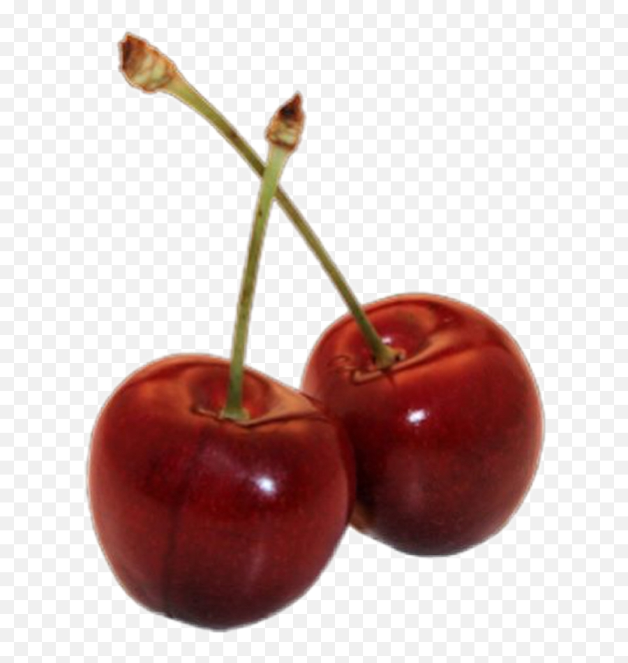 Cherry Png - Cherry Cherrys Red Redaesthetic Sticker Aesthetic Png Cherry Emoji,Cherry Png