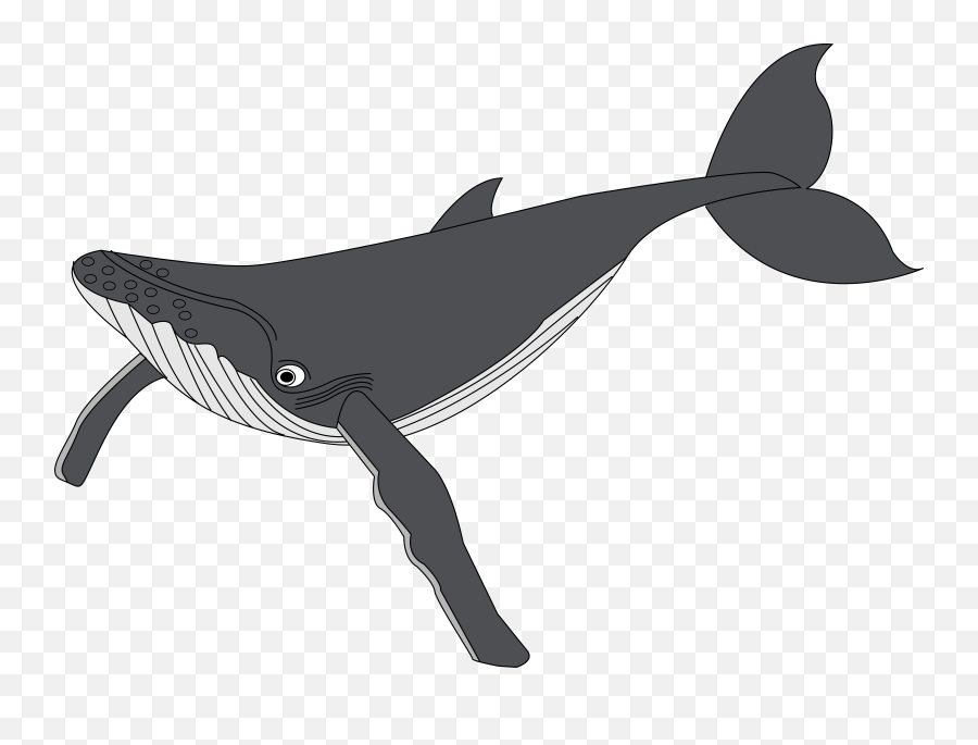 Clip Art Baleine Whale - Gray Whale Clipart Emoji,Whale Clipart