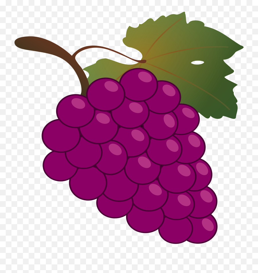 Grape Clipart Wine Grape Grape Wine - Grapes Animada Emoji,Grapes Clipart