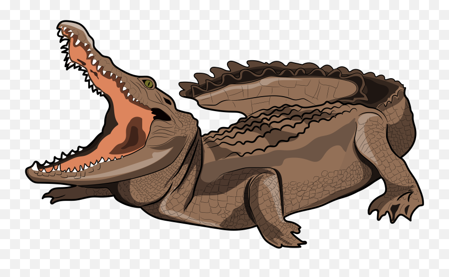 Crocodile Clipart Zoo Animal Picture - Nile Crocodile Clipart Emoji,Crocodile Clipart