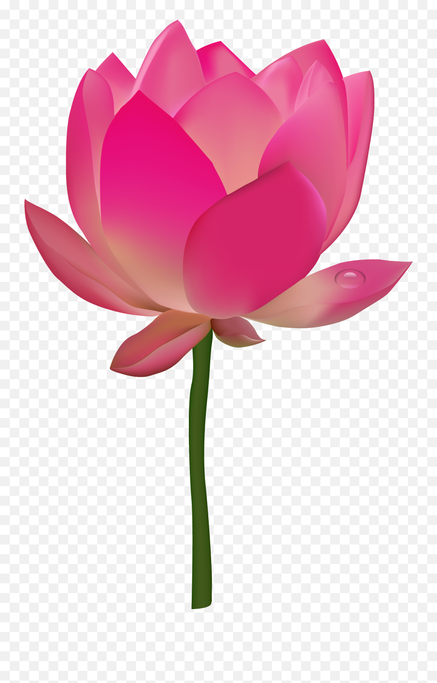 Download Lotus Flower Png Image For Free - Lotus Clipart Png Emoji,Flower Png
