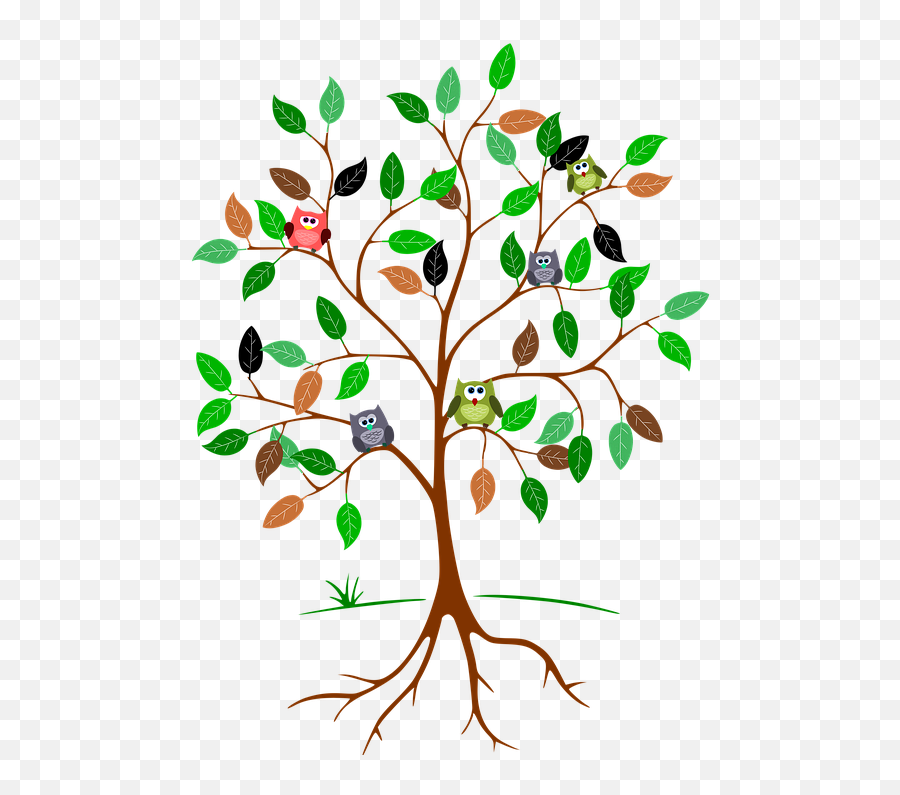 Tree Roots Cliparts 2 Buy Clip Art - Part Of The Nitrogen Cycle Is Pictured Emoji,Tree Roots Png