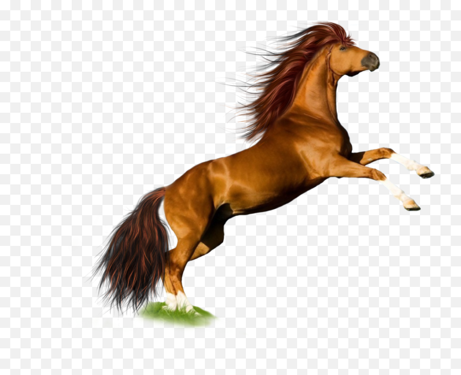 Horse Png Image Free Download Picture Transparent Background - Horse Png Emoji,Transparent Background