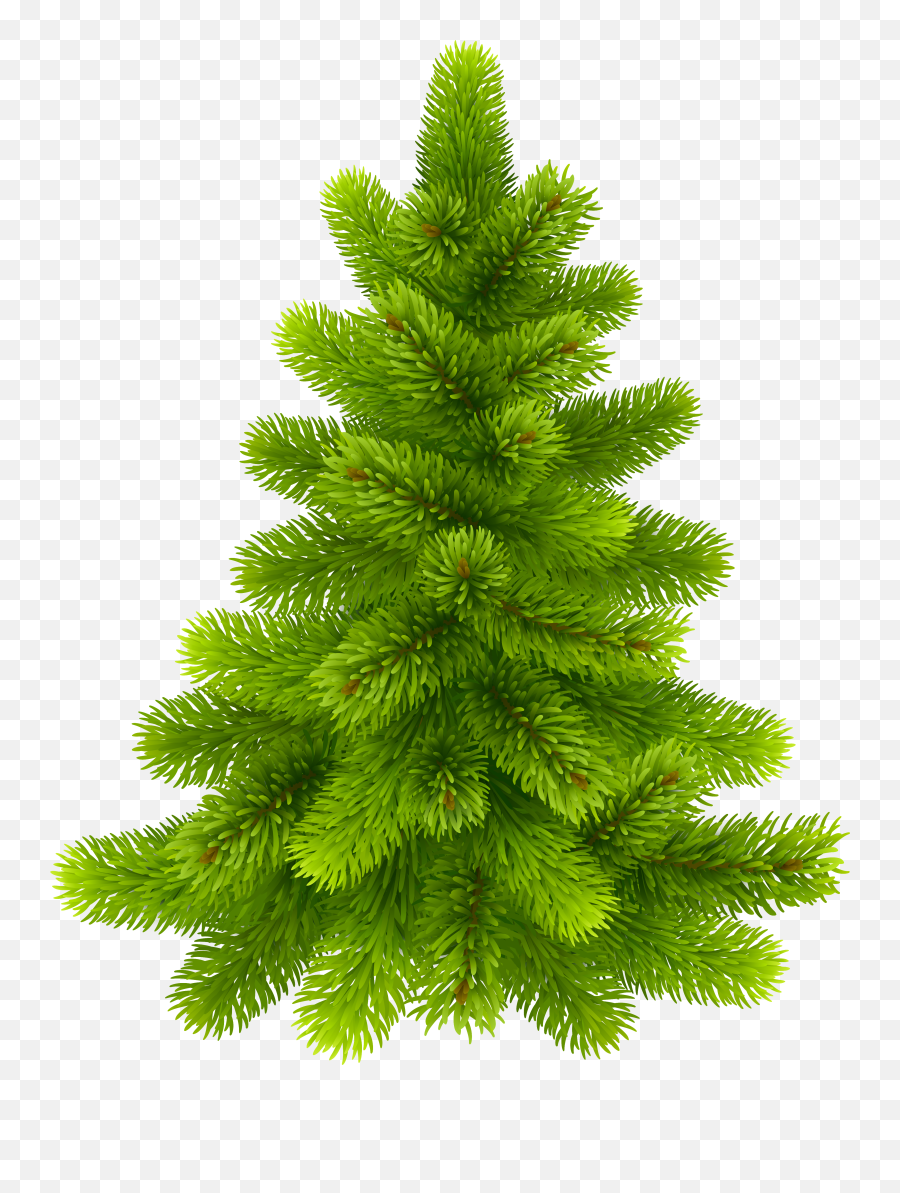 Pine Tree Png Images Free Download - Clip Art Pine Tree Png Emoji,Pine Tree Clipart
