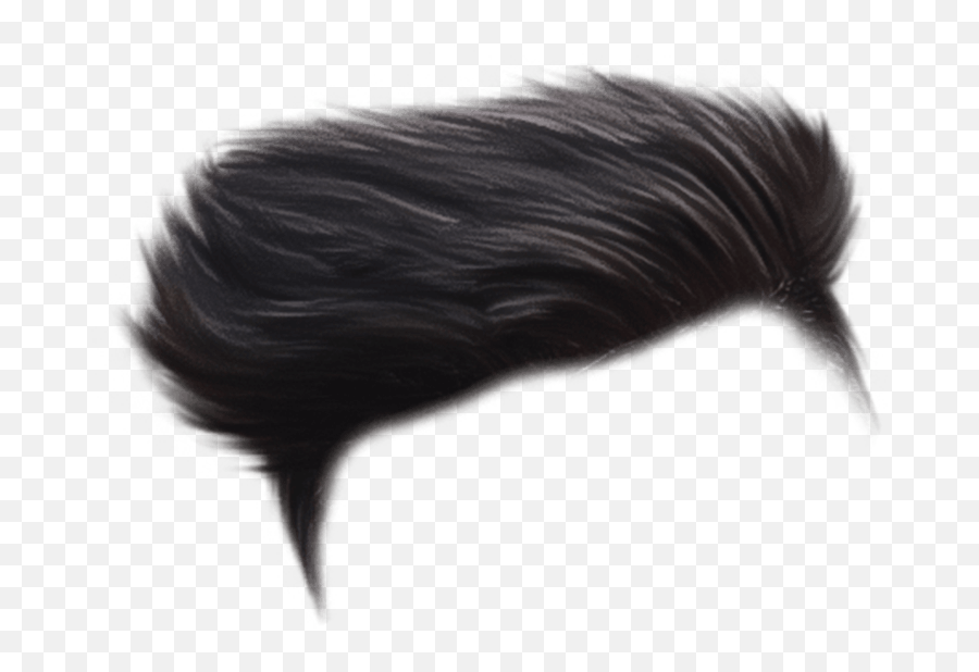 900 Hair Png Hd 2021 Download Best Cb Hairstyle Png Emoji,Best Png