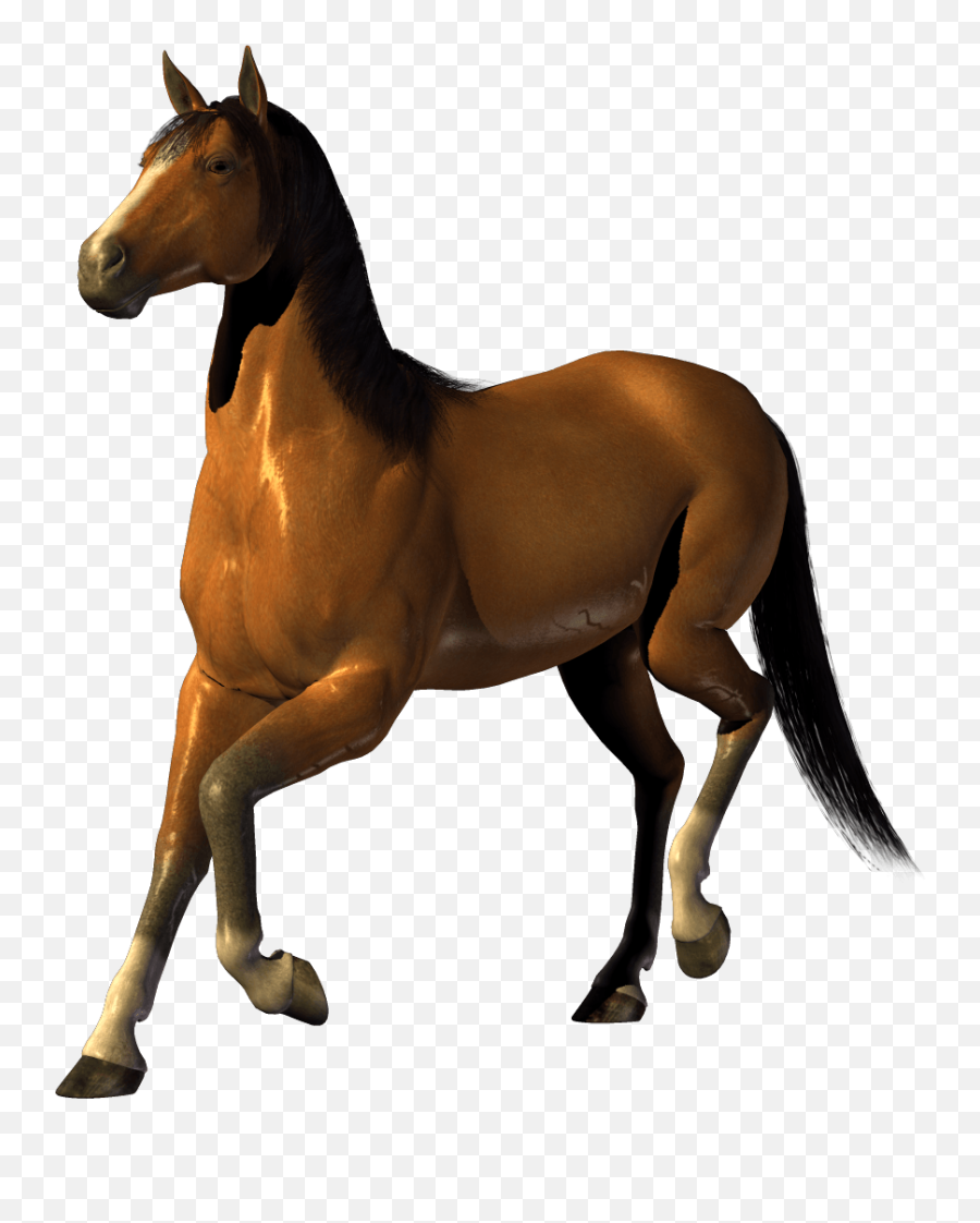 Download Horse Png Image Download - Horse Transparent Background Emoji,Horse Png