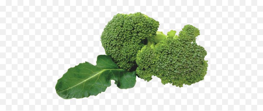 Download Broccoli - Transparent Green Vegetables Png Emoji,Broccoli Png