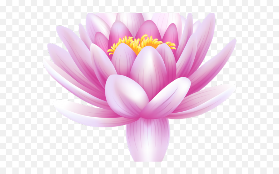 Lilly Pad Png - Water Lilies Png Emoji,Lotus Flower Transparent Background