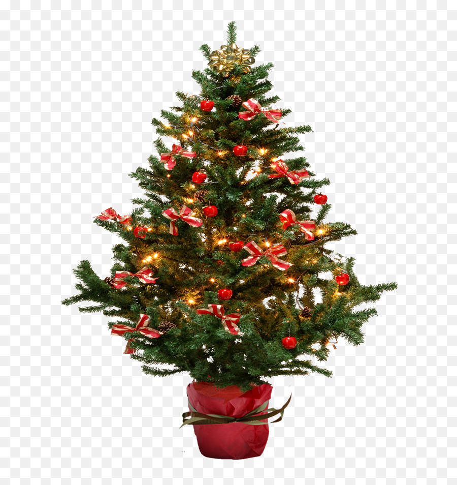 House Plant Png - Small Christmas Tree Png 1159001 Vippng Christmas Tree Emoji,Christmas Tree Png