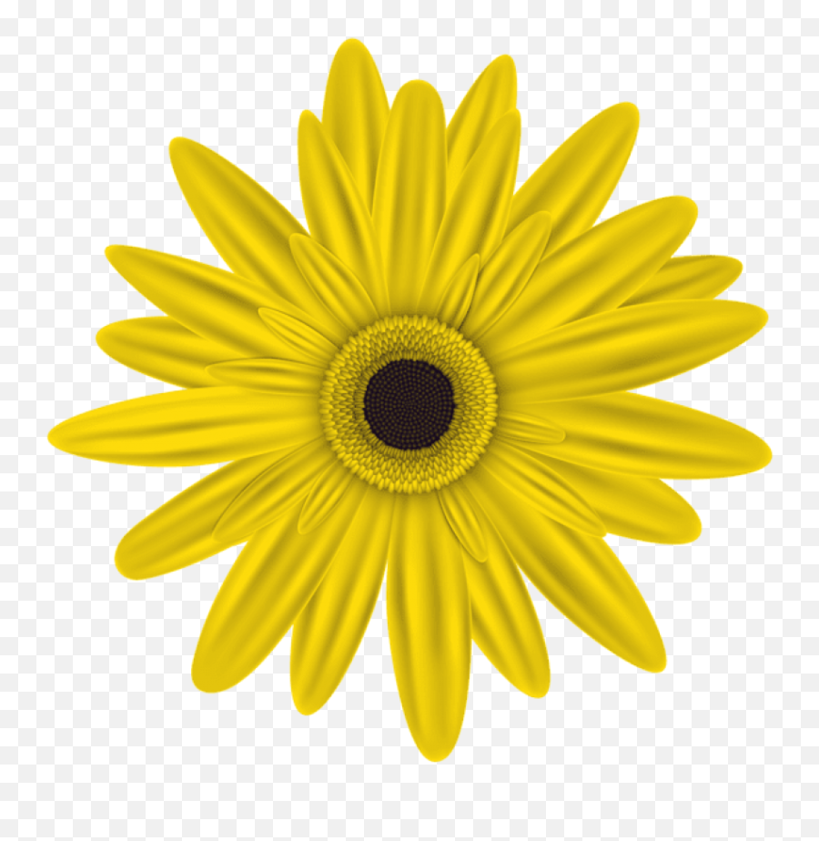 Download Free Png Yellow Flower Png Images Transparent Emoji,Yellow Flowers Png