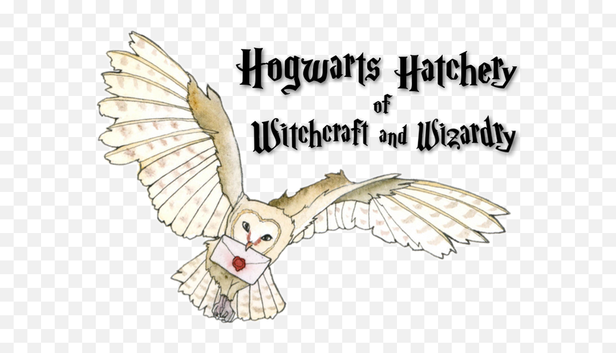 Hogwarts Hatchery On Hiatus - Photo Caption Emoji,Hufflepuff Png