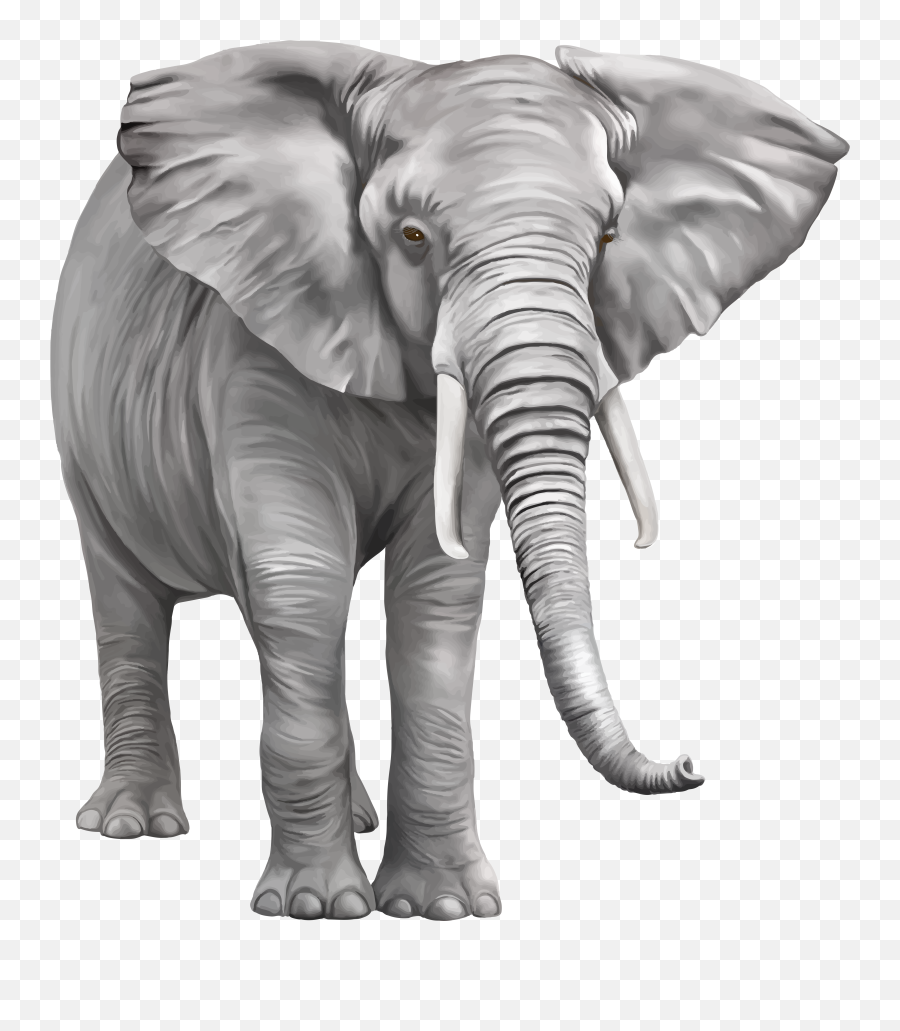 Indian Elephant Clip Art - Elephant Png Free Download Png Png Transparent Background Elephant Png Emoji,Elephant Transparent Background