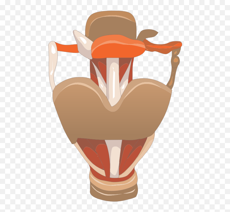 Food Joint Larynx Png Clipart Emoji,Voice Clipart