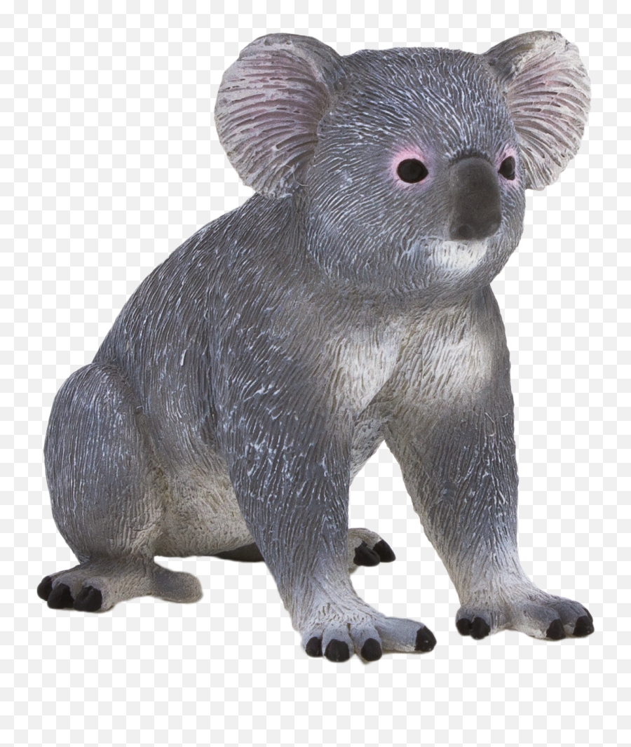 Animal Planet Koala - Elephanta Elephanta Emoji,Koala Png