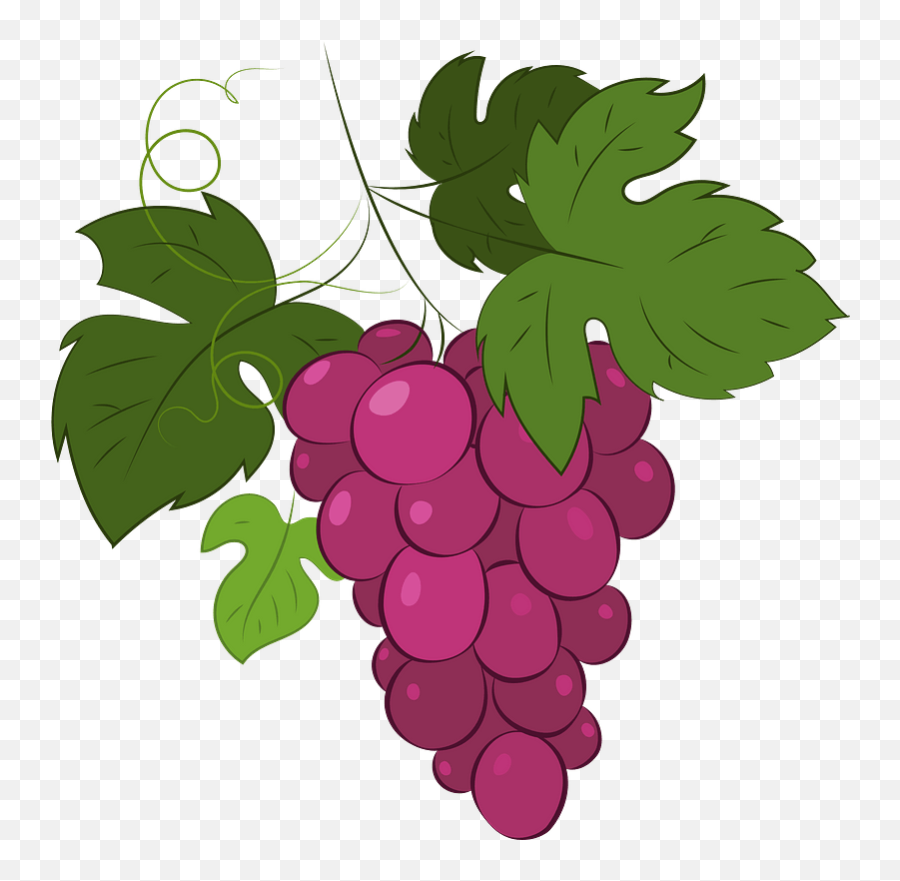 Grape Clipart - Grape Clipart Emoji,Grape Clipart