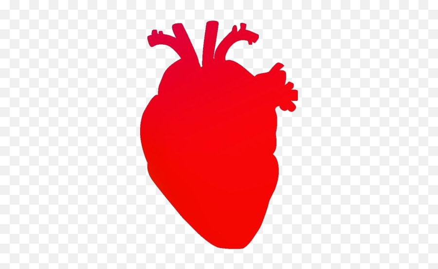 Human Heart Png Transparent Clipart For Download Pngimages - Language Emoji,Human Heart Clipart