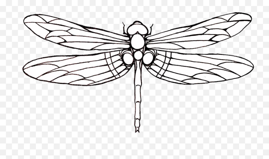 Dragonfly Tattoos Png Hq Png Image - Dragonfly Tattoo Outline Emoji,Dragonfly Png