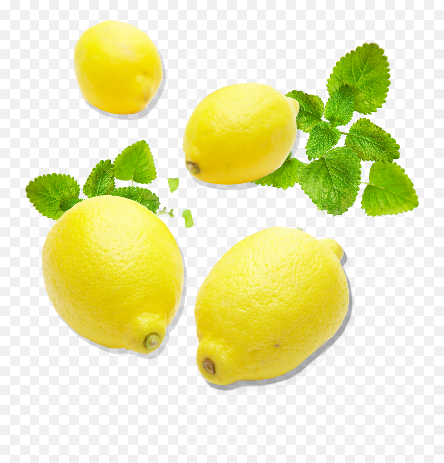 Download Png Transparent Lemon Citron - Key Lime Emoji,Lime Png