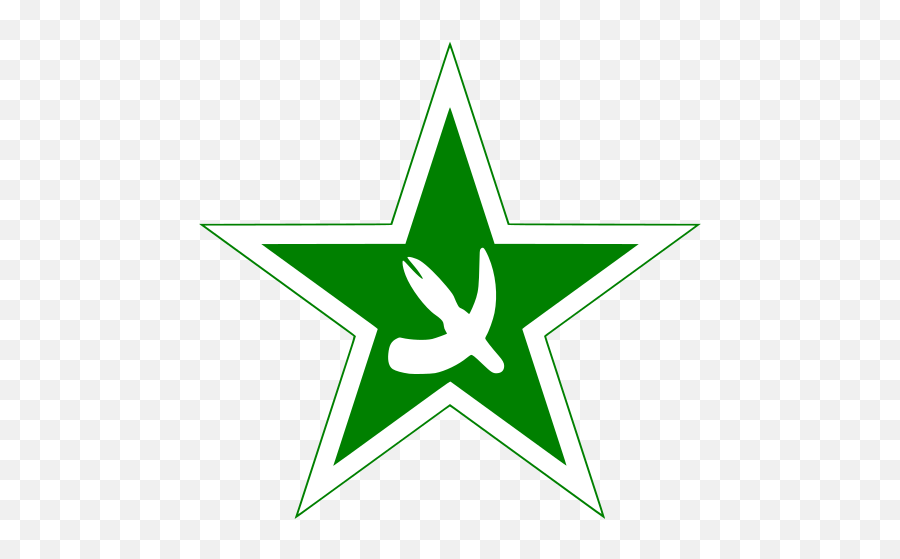 Fileanimalism Star With White Border And Green Rimssvg - Amazon Gmail Emoji,White Border Transparent