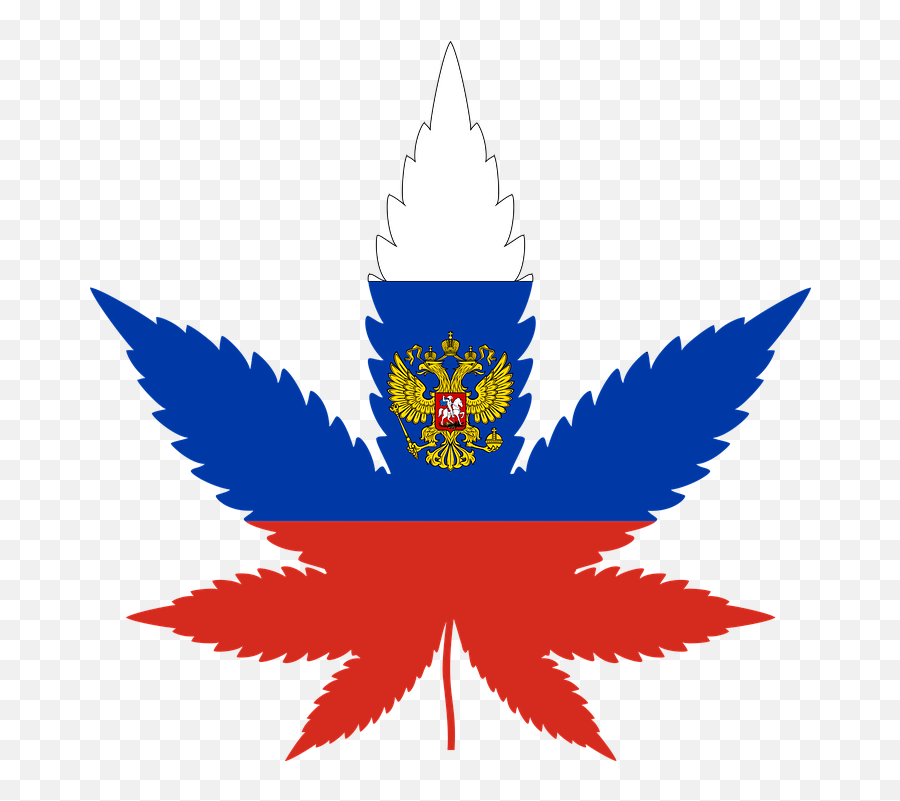 Marijuana Russia Leaf - Free Vector Graphic On Pixabay Marijuana Vector Emoji,Marijuana Leaf Logo