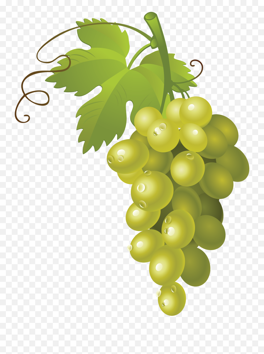Grape Png - Transparent Background Grapes Clipart Emoji,Grapes Clipart