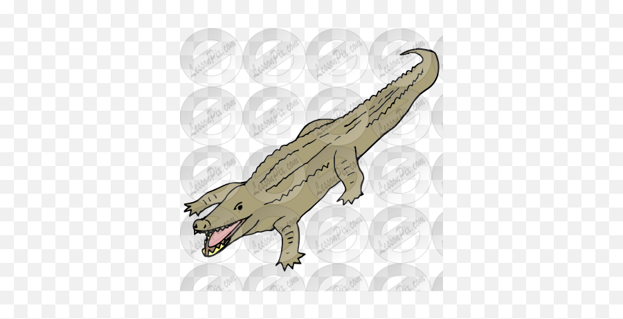 Crocodile Picture For Classroom - Canine Tooth Emoji,Crocodile Clipart