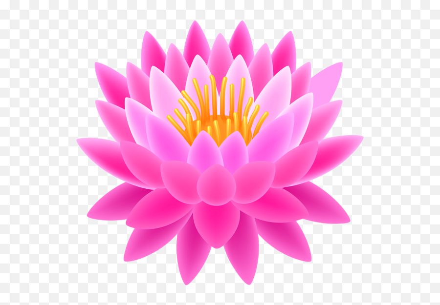 Library Of Purple Lotus Flower Clipart - Transparent Lotus Image Png Emoji,Lotus Flower Clipart