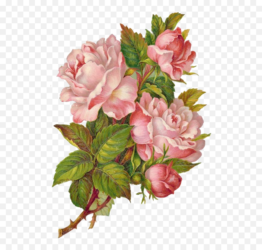 Rose Cluster Png Emoji,Vintage Roses Png