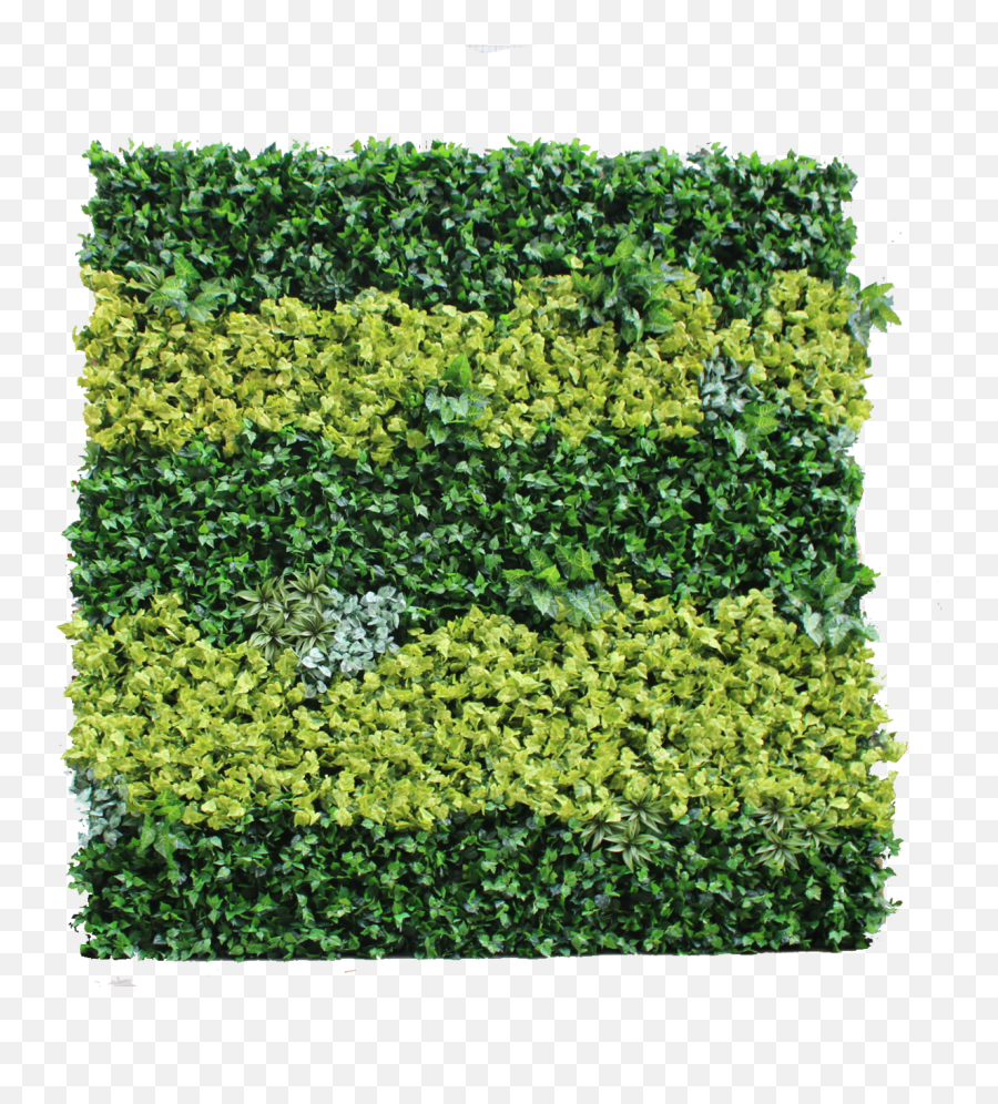 Buy Artificial Grass Plant Wall Emoji,Green Wall Png