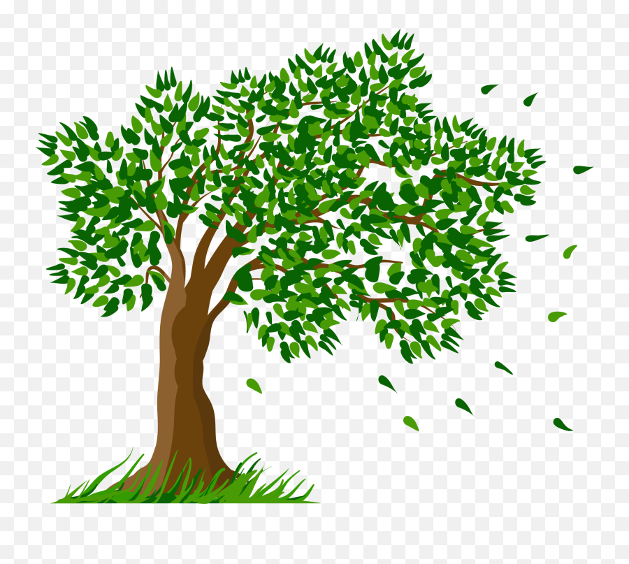 Tree Clip Art - Tree Transparent Clipart Picture Png Clipart Background Tree Png Emoji,Tree Clipart