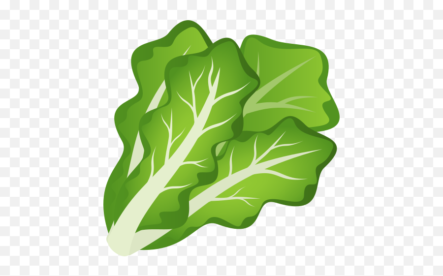 Emoji Salad Lettuce Green Leafy Vegetables Wprock,Leaf Emoji Png
