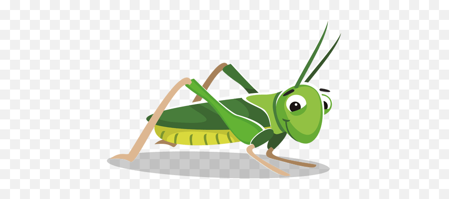 Free Png Cricket Insect Clipart Png - Clip Art Cricket Insect Png Emoji,Insect Clipart