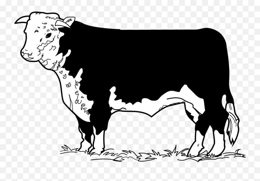 Cattle Clipart Bovine Cattle Bovine Transparent Free For - Cow Beef Clip Art Emoji,Cow Clipart Black And White