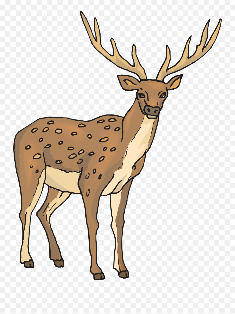 Large Antlers Svg Vector Deer With - Deer Clipart Png Emoji,Antlers Clipart