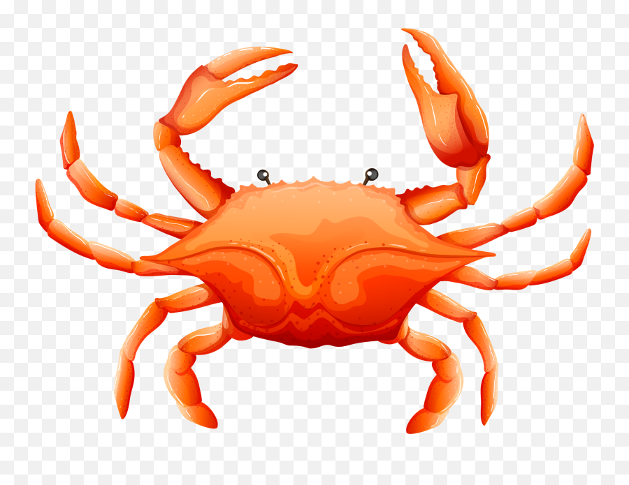 Pin On Clipart Fish And Sea - Crab Letter Emoji,Sea Animals Clipart