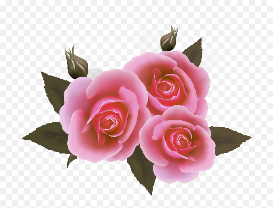 Rosas Cor De Rosa Png - Pink Rose And Ribbon Png Emoji,Rosas Png