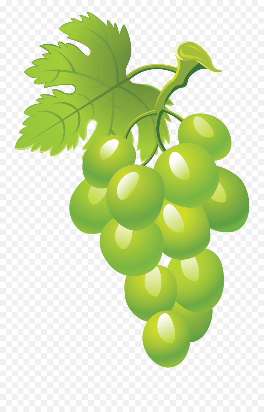 Green Grapes Clipart - Transparent Background Green Grapes Clipart Emoji,Grapes Clipart