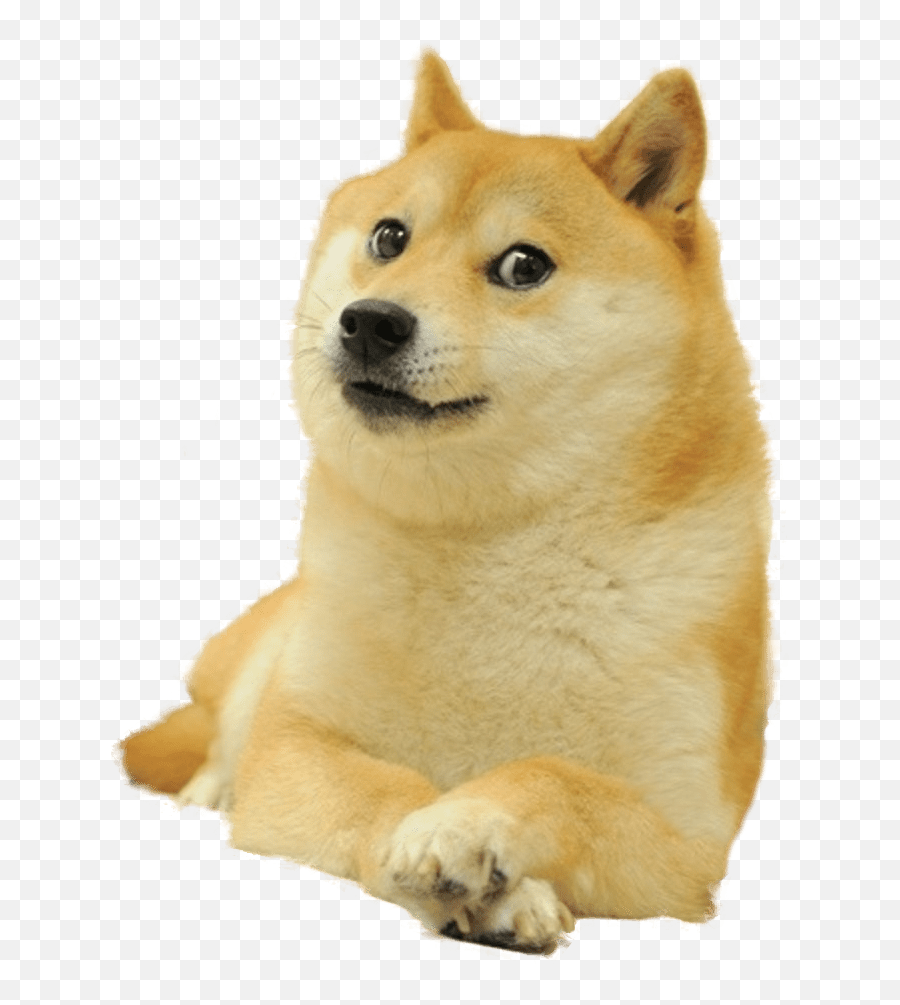 Cut Out Doge Png For You All To Use - Dababy Doge Emoji,Doge Png